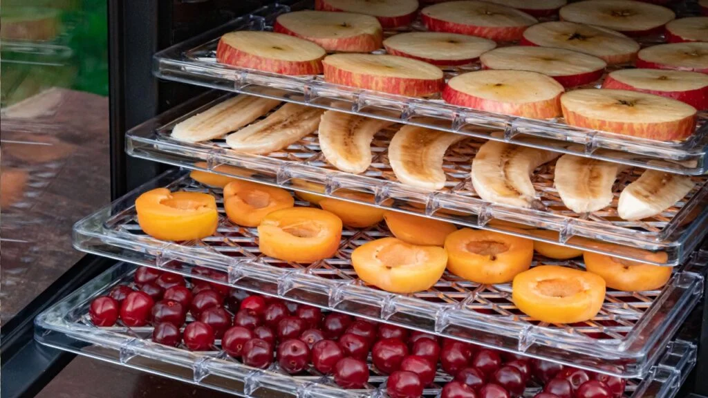 dehydrating food