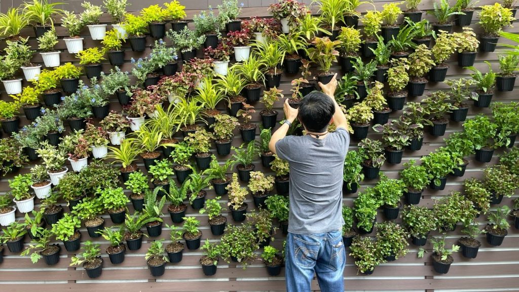 urban garden