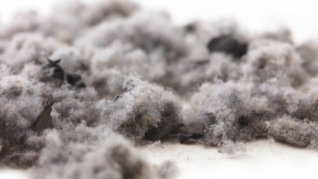 wool