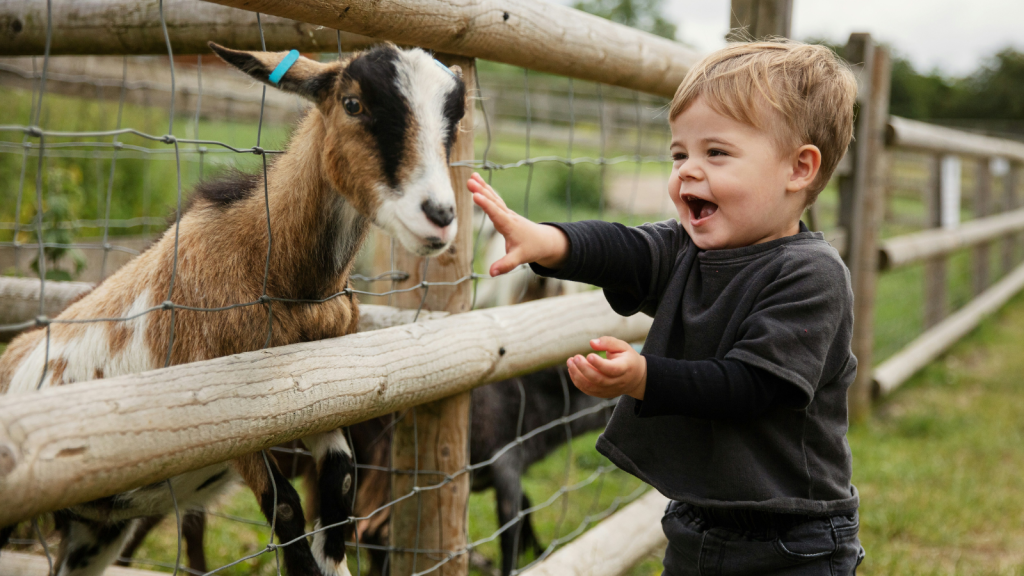 boy with goat behind a fence