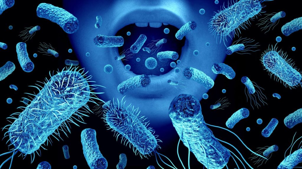 Oral Bacteria