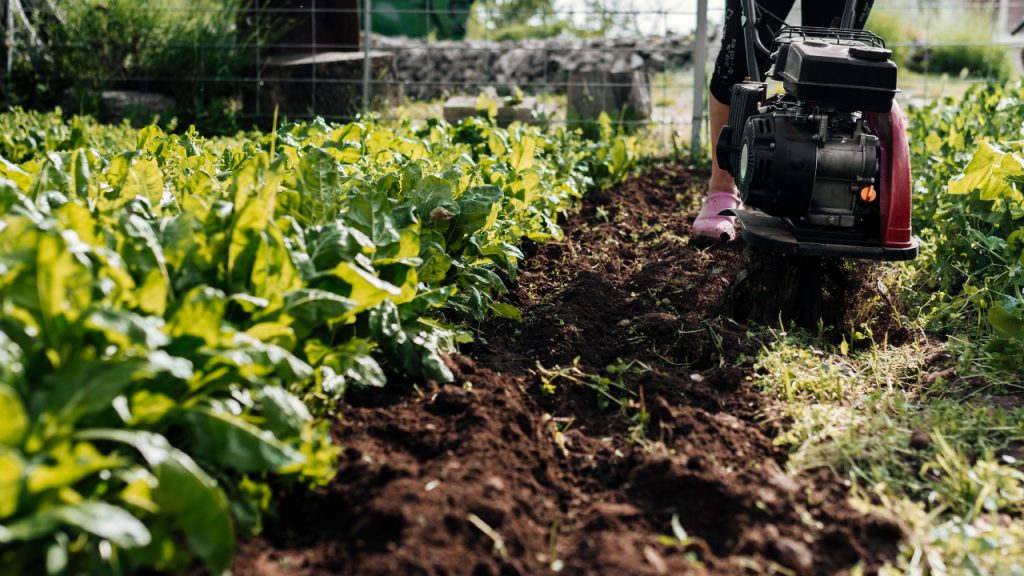 Tilling a garden