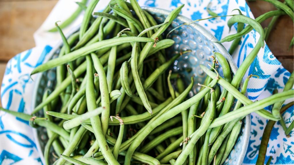 bumper bean crop