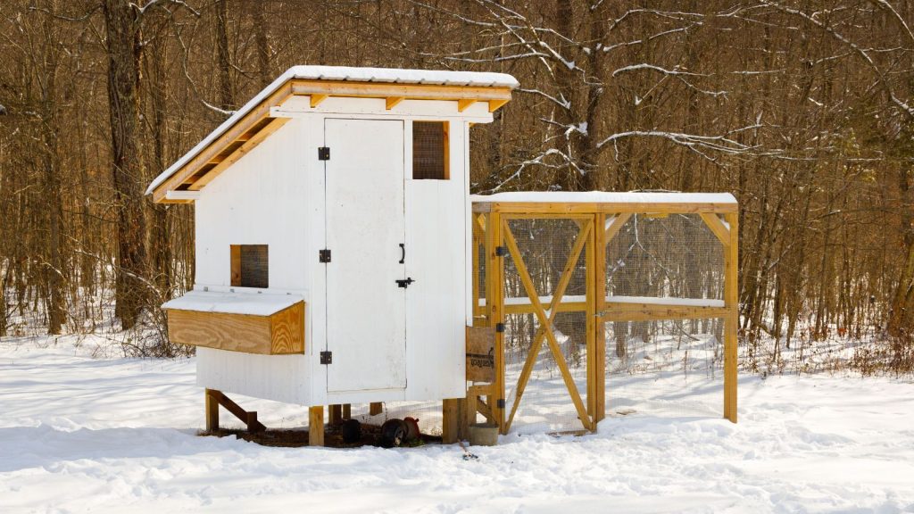 chicken coop in snow
