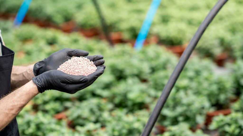 farmer-holding-mineral-fertilizers-with-green-plants-on-the-background-close-up-view-ta7PRB45zsU