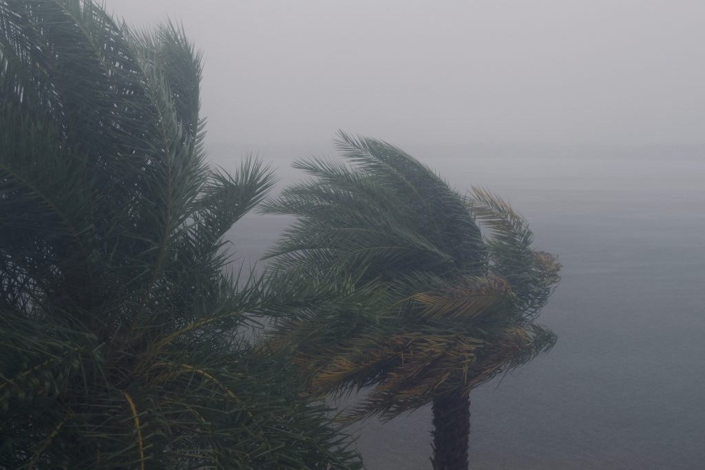 Hurricane