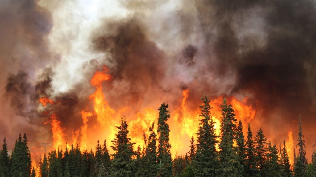 wildfire