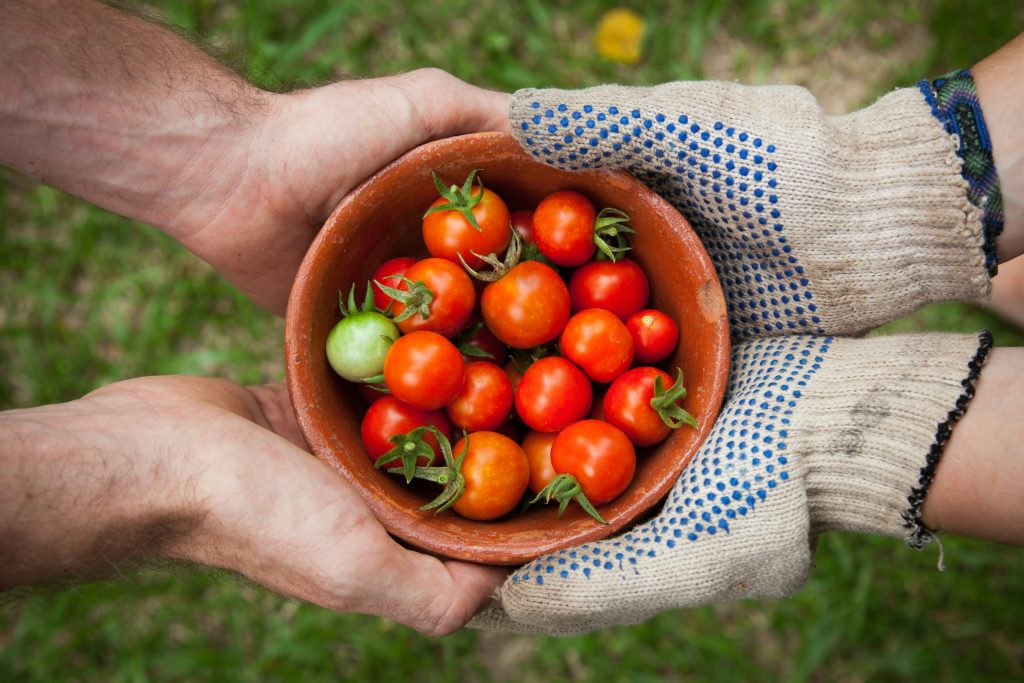 bartering sharing vegetables tomatoes garden