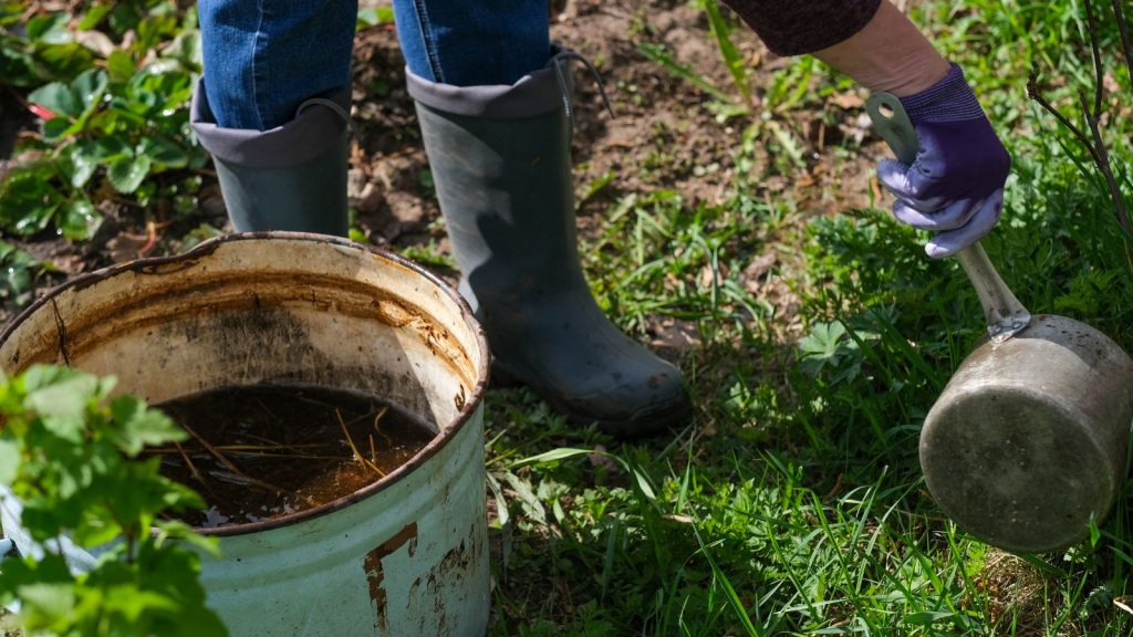 compost tea
