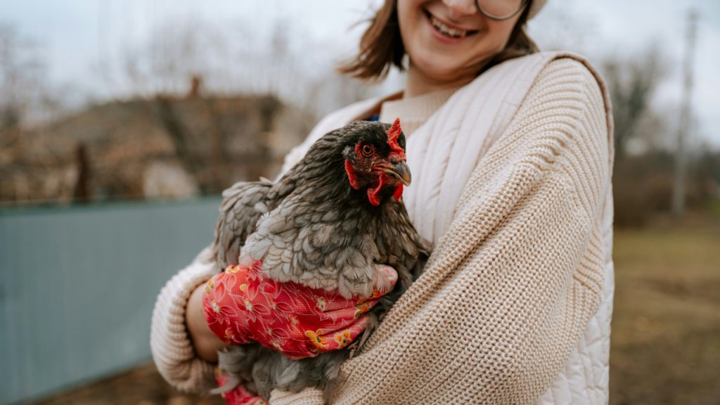 woman-holding-a-chicken-in-her-arms-emO6uGwMI64